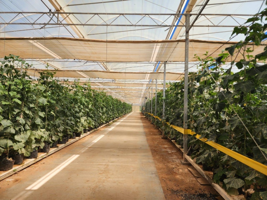 0 Bedroom Property for Sale in Klawer Western Cape